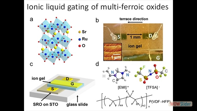 Ionic-liquid gating of multiferroic oxides