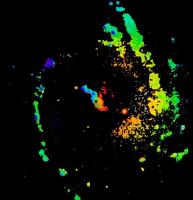 NGC 1365 Fabry Perot velocity map