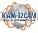 ICAM