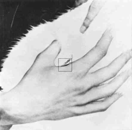 Cosmic View, page 34