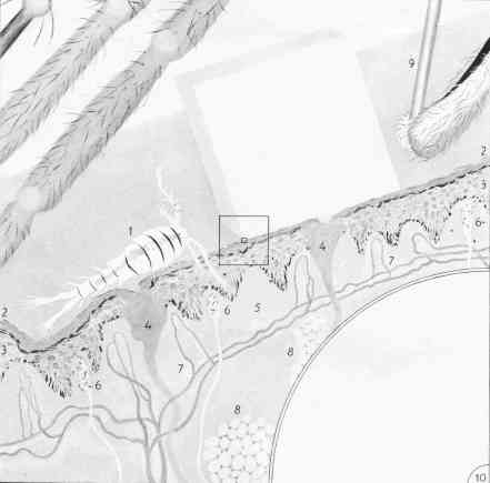 Cosmic View, page 36