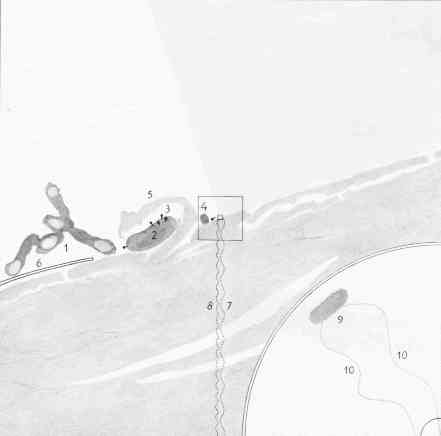 Cosmic View, page 38