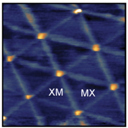 Research figure: Twisted TMDs and Proximity Effects
in van der Waals Heterostructures