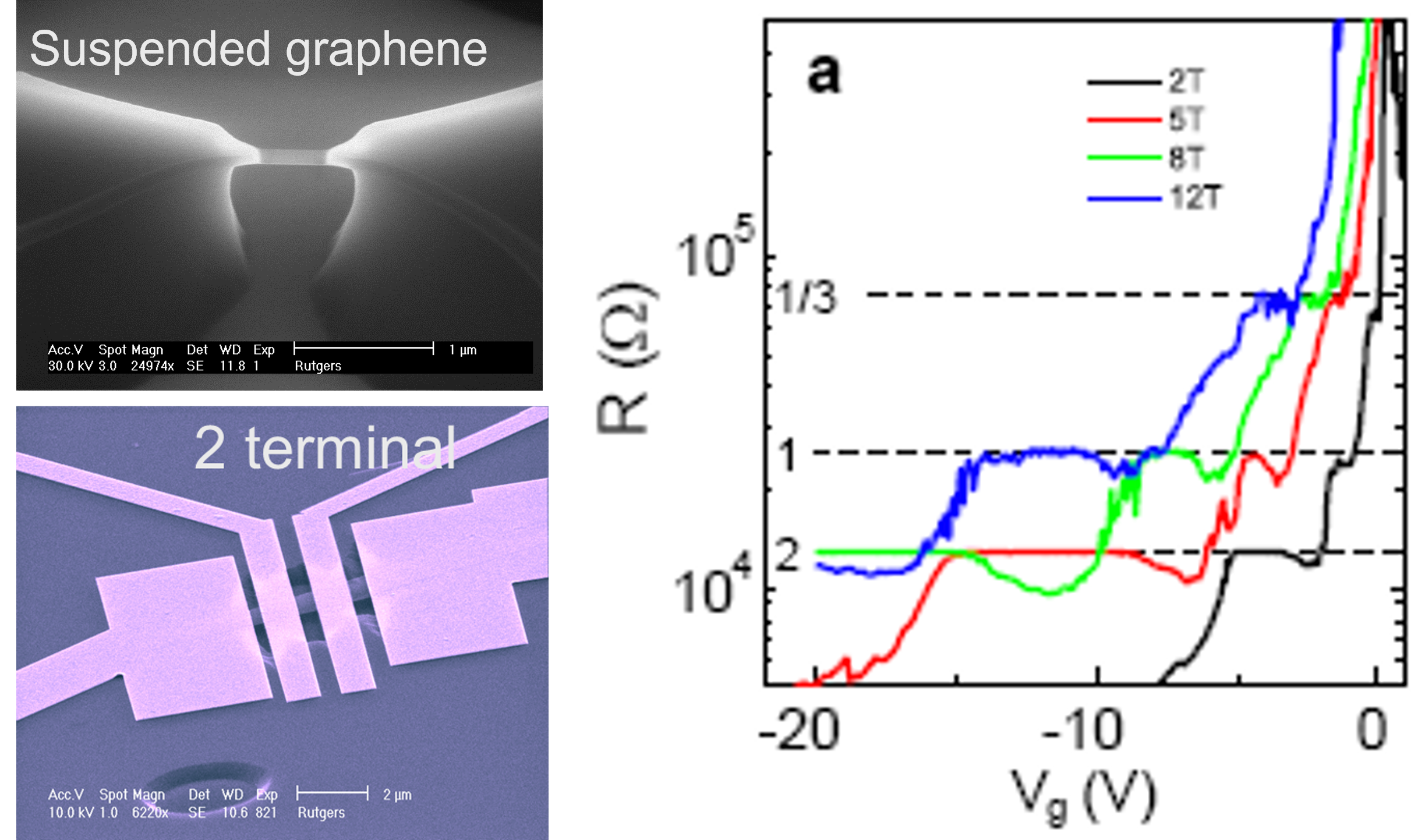 Research figure: Fractional Quantum Hall Effect and
Strongly Correlated Electrons