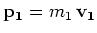 ${\mathbf p_1} = m_1\,{\mathbf v_1}$