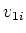 $v_{1i}$