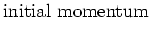 $\displaystyle \rm initial\ momentum$