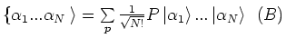 $
\{ \alpha _1 ...\alpha _N \left. {} \right\rangle = \sum\limits_p {} \frac{1}...
...pha _1 } \right\rangle ...\left\vert {\alpha _N } \right\rangle    (B) \\
$