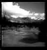 beaver_pond.JPG (85513 bytes)