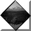 diamond_rockies.jpg (133173 bytes)