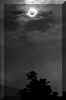 eclipse_4x5.JPG (15137 bytes)