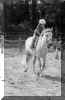 matthew_horse.jpg (23009 bytes)