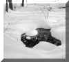 snow_hummock.JPG (22427 bytes)