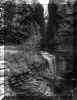 watkins_glen2.jpg (54143 bytes)