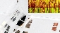 Ultra-flexible OFETs: Nature Comm. 3, 1259 (2012)