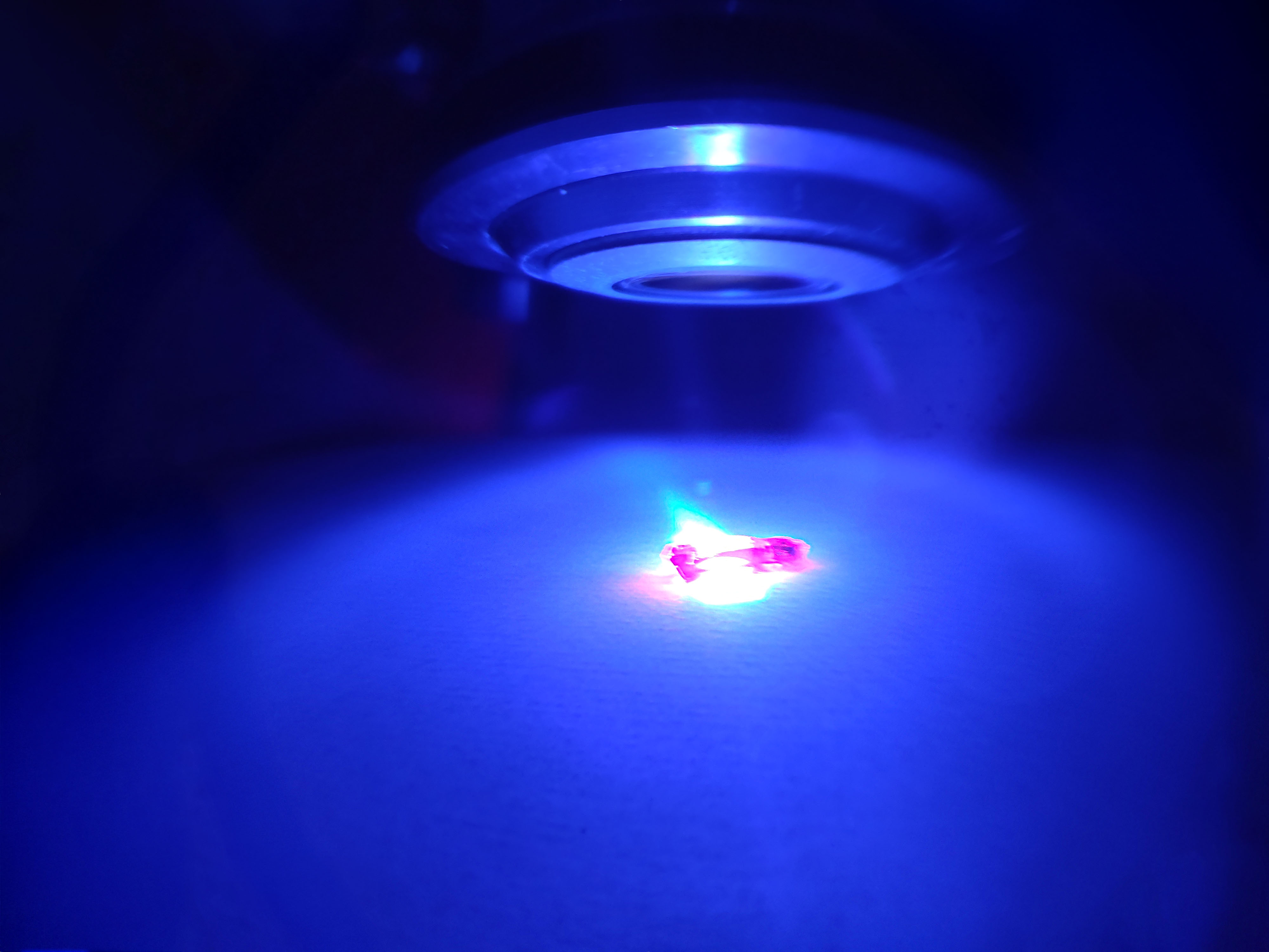 First photo-Hall effect in organic semiconductors: Adv. Funct. Mater. (2020)