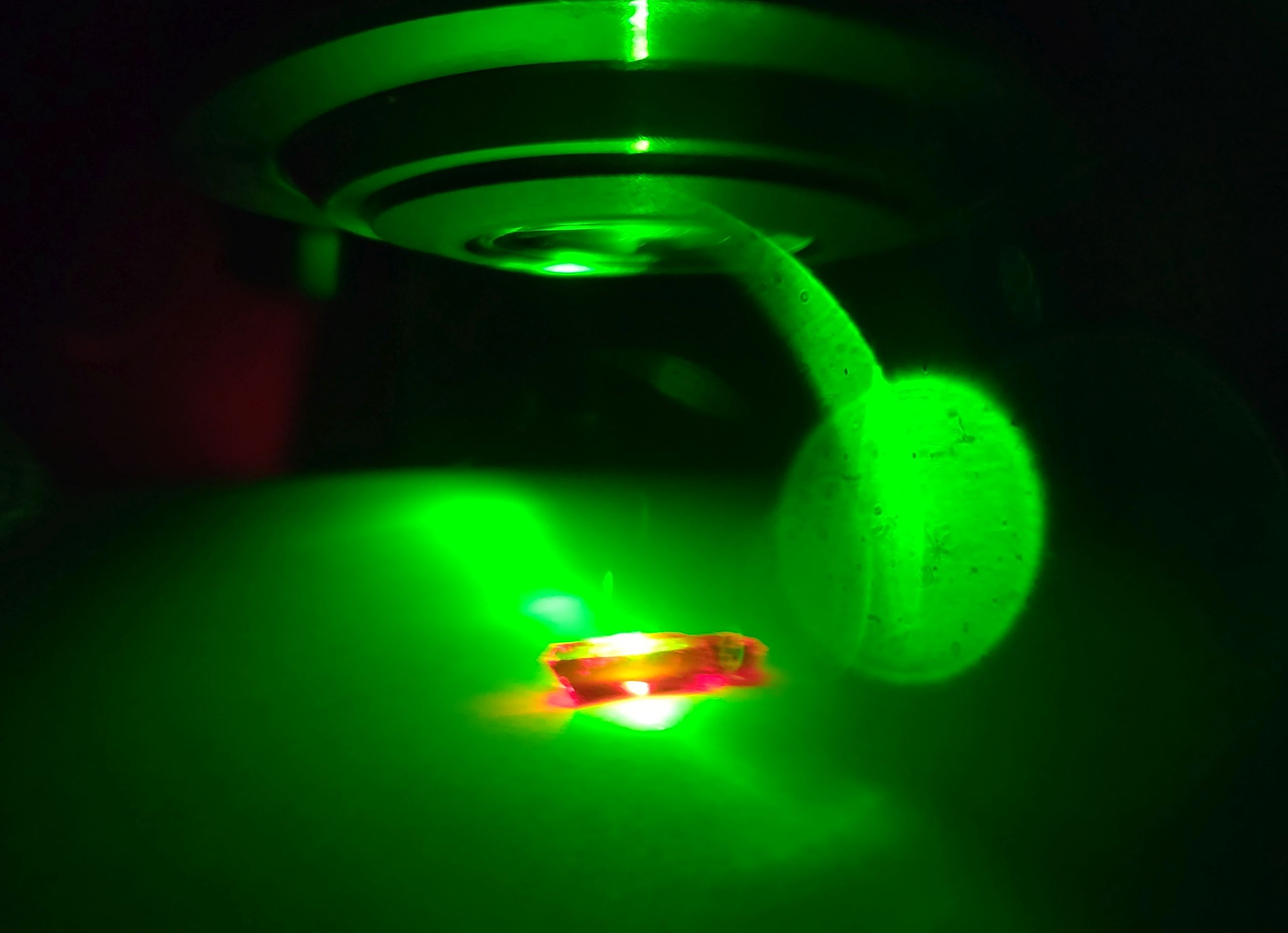 Singlet exciton fission in rubrene: JACS (2025)