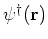 $\psi^{\dagger}({\bf r})$