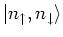$\vert n_{\uparrow}, n_{\downarrow}\rangle $