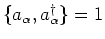 $\{a_\alpha,a_\alpha^\dagger\}=1$