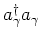 $a^\dagger_\gamma a_\gamma $