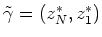 $\tilde{\gamma}= (z_N^{\ast}, z_1^{\ast})$