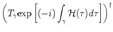 $\displaystyle \left(T_{\gamma}{\rm exp} \left[ (-i) \int_{\gamma } {\mathcal H}(\tau ) d \tau \right]\right)
^{\dagger}$