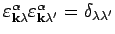 $\varepsilon ^{\alpha }_{{\bf k}\lambda } \varepsilon ^{\alpha }_{{\bf k}\lambda ^{\prime }} = \delta _{\lambda \lambda ^{\prime }}$