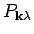 $P_{{\bf k}\lambda }$