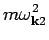 $\displaystyle m\omega ^2_{{\bf k}2}$