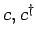 $c, c^{\dagger}$