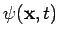$\displaystyle \psi ({\bf x}, t)$