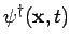 $\displaystyle \psi^{\dagger}({\bf x}, t)$