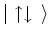 $ \vert \uparrow \downarrow {\,\rangle }$