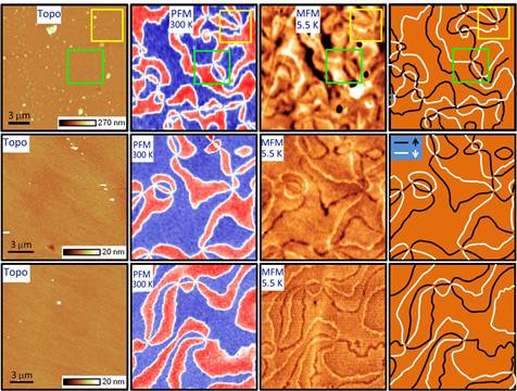 Description: Description: C:\Weida\papers\my paper\ErMnO3_MFM\submission\Nanoletters\reply2\s2_vortexmap_new.jpg